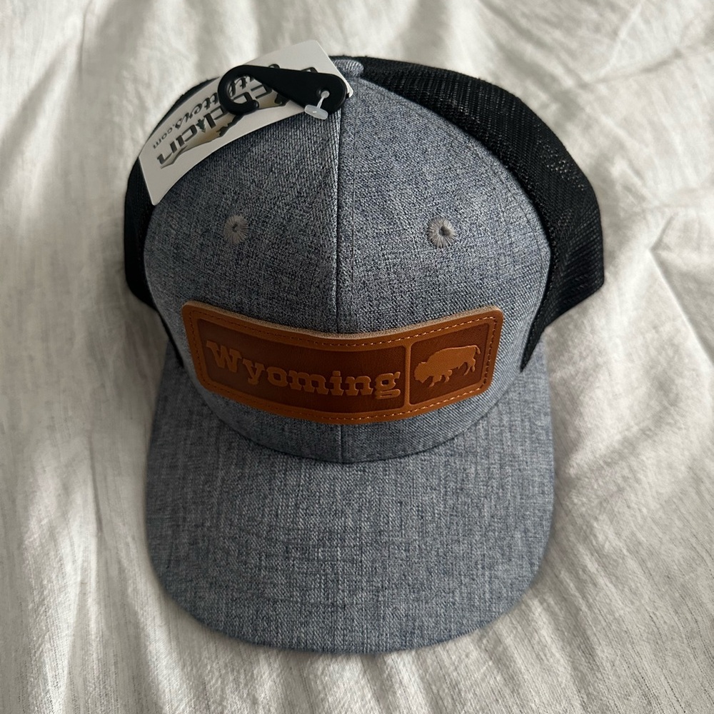 Men’s Wyoming hat with the dark gray bill in black in the back.